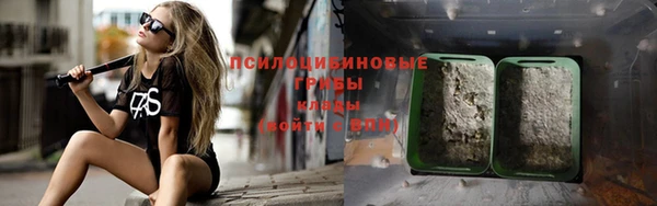 стафф Волоколамск