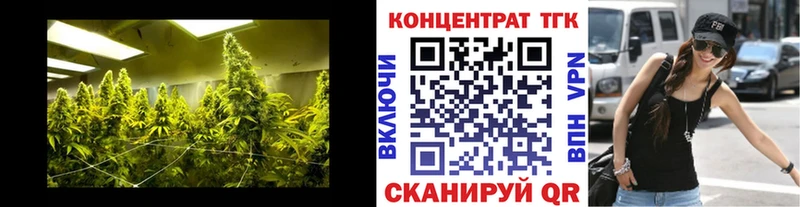 Дистиллят ТГК Wax  Купить закладки  Курганинск 