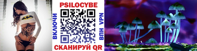 Галлюциногенные грибы Psilocybine cubensis  Купить где  Курганинск 